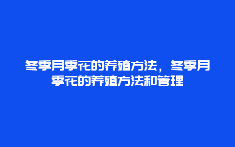 冬季月季花的养殖方法，冬季月季花的养殖方法和管理