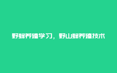 野蜂养殖学习，野山蜂养殖技术