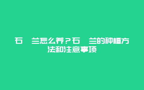 石斛兰怎么养？石斛兰的种植方法和注意事项