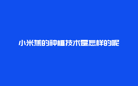 小米蕉的种植技术是怎样的呢