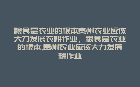 粮食是农业的根本贵州农业应该大力发展农耕作业，粮食是农业的根本,贵州农业应该大力发展耕作业