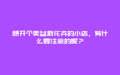 想开个卖盆栽花卉的小店，有什么要注意的呢？