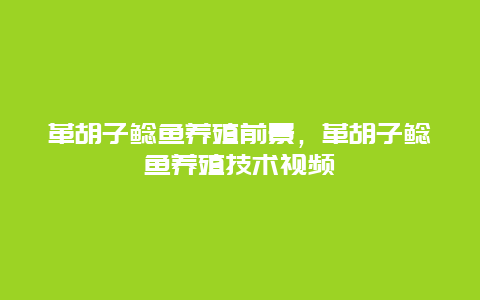 革胡子鲶鱼养殖前景，革胡子鲶鱼养殖技术视频