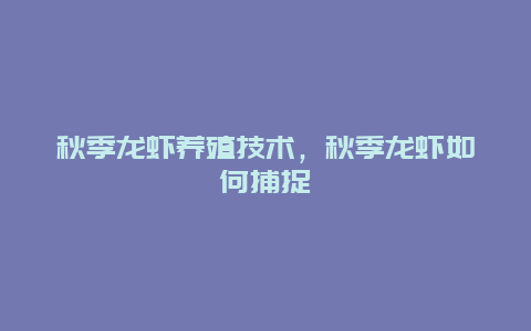 秋季龙虾养殖技术，秋季龙虾如何捕捉