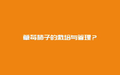 草莓柿子的栽培与管理？