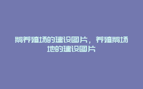 鹅养殖场的建设图片，养殖鹅场地的建设图片