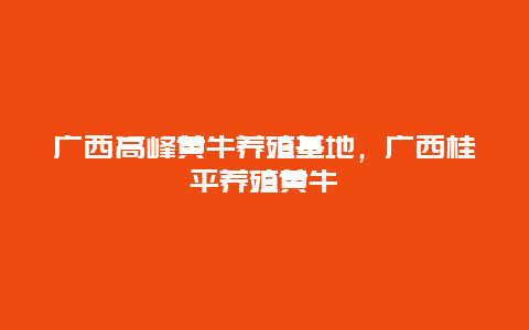 广西高峰黄牛养殖基地，广西桂平养殖黄牛