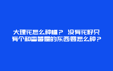 大理花怎么种植？ 没有花籽只有个和番薯是的东西要怎么种？