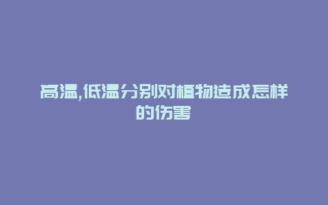 高温,低温分别对植物造成怎样的伤害