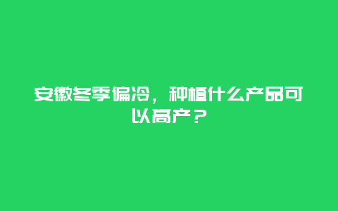 安徽冬季偏冷，种植什么产品可以高产？