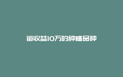 亩收益10万的种植品种