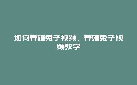 如何养殖兔子视频，养殖兔子视频教学