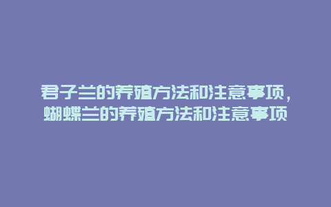 君子兰的养殖方法和注意事项，蝴蝶兰的养殖方法和注意事项