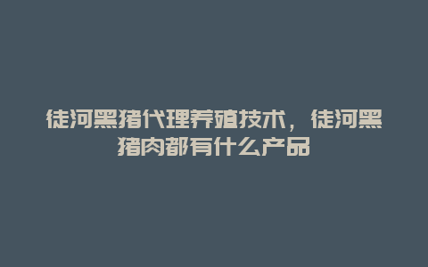 徒河黑猪代理养殖技术，徒河黑猪肉都有什么产品