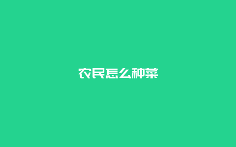 农民怎么种菜