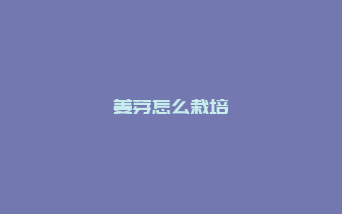 姜芽怎么栽培