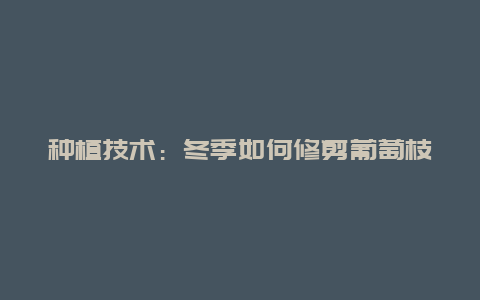 种植技术：冬季如何修剪葡萄枝