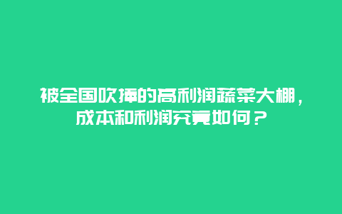 被全国吹捧的高利润蔬菜大棚，成本和利润究竟如何？