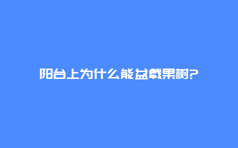 阳台上为什么能盆载果树?