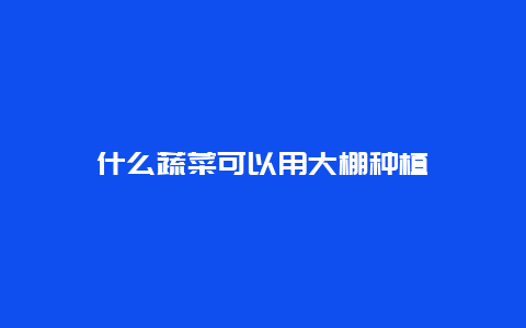 什么蔬菜可以用大棚种植