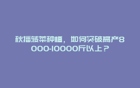 秋播菠菜种植，如何突破高产8000-10000斤以上？