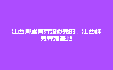 江西哪里有养殖野兔的，江西种兔养殖基地