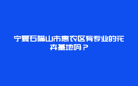 宁夏石嘴山市惠农区有专业的花卉基地吗？