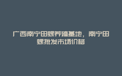 广西南宁田螺养殖基地，南宁田螺批发市场价格