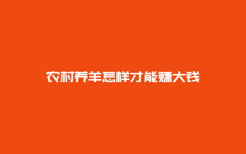 农村养羊怎样才能赚大钱