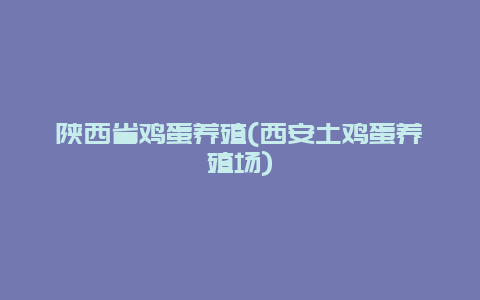 陕西省鸡蛋养殖(西安土鸡蛋养殖场)