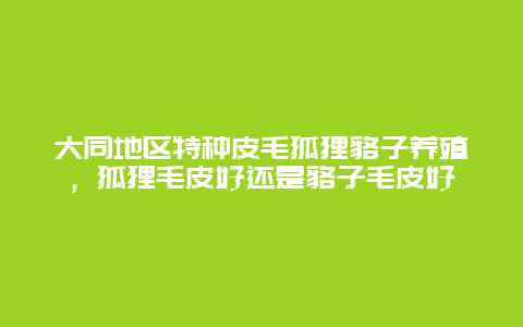 大同地区特种皮毛狐狸貉子养殖，狐狸毛皮好还是貉子毛皮好