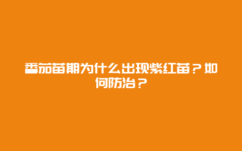 番茄苗期为什么出现紫红苗？如何防治？