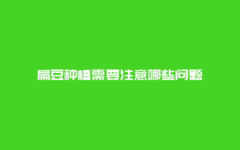 扁豆种植需要注意哪些问题