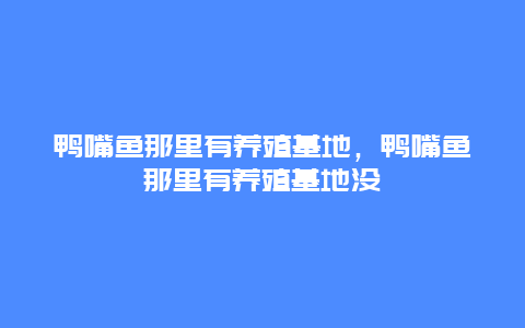 鸭嘴鱼那里有养殖基地，鸭嘴鱼那里有养殖基地没