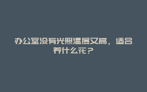 办公室没有光照温度又高，适合养什么花？