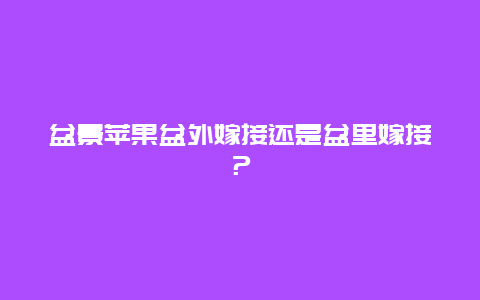 盆景苹果盆外嫁接还是盆里嫁接？