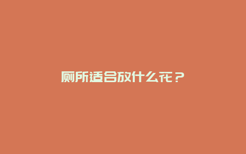 厕所适合放什么花？