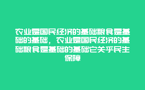 农业是国民经济的基础粮食是基础的基础，农业是国民经济的基础粮食是基础的基础它关乎民生保障