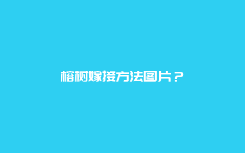 榕树嫁接方法图片？