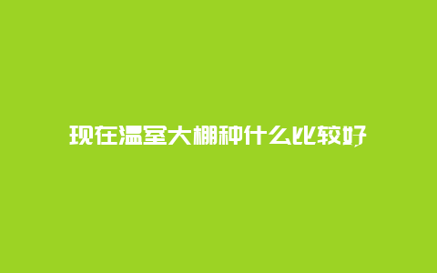 现在温室大棚种什么比较好