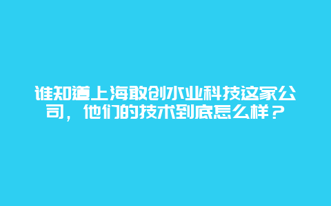 谁知道上海敢创水业科技这家公司，他们的技术到底怎么样？