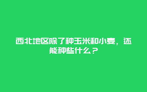 西北地区除了种玉米和小麦，还能种些什么？