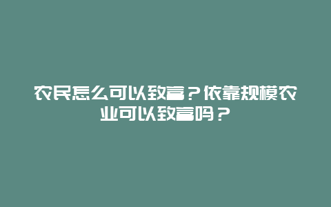 农民怎么可以致富？依靠规模农业可以致富吗？