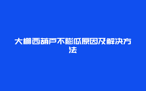 大棚西葫芦不膨瓜原因及解决方法