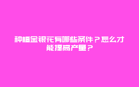 种植金银花有哪些条件？怎么才能提高产量？