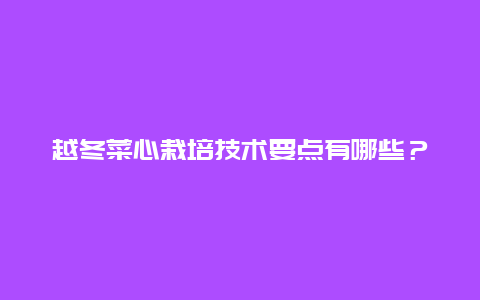 越冬菜心栽培技术要点有哪些？