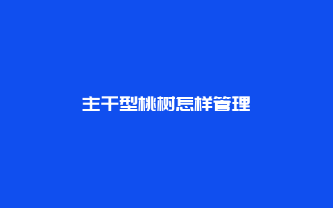 主干型桃树怎样管理