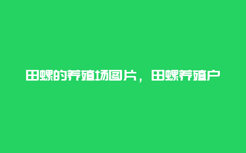 田螺的养殖场图片，田螺养殖户