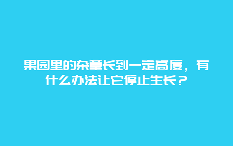 果园里的杂草长到一定高度，有什么办法让它停止生长？