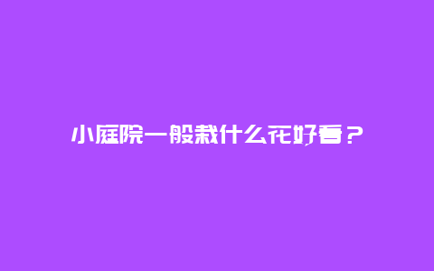 小庭院一般栽什么花好看？